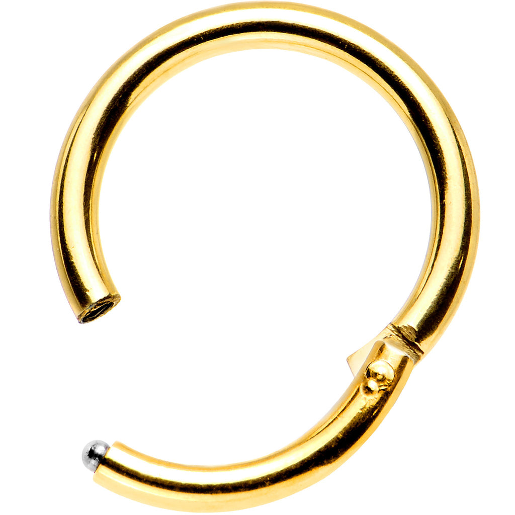16G 5/16 Gold Anodized Titanium Hinged Segment Ring