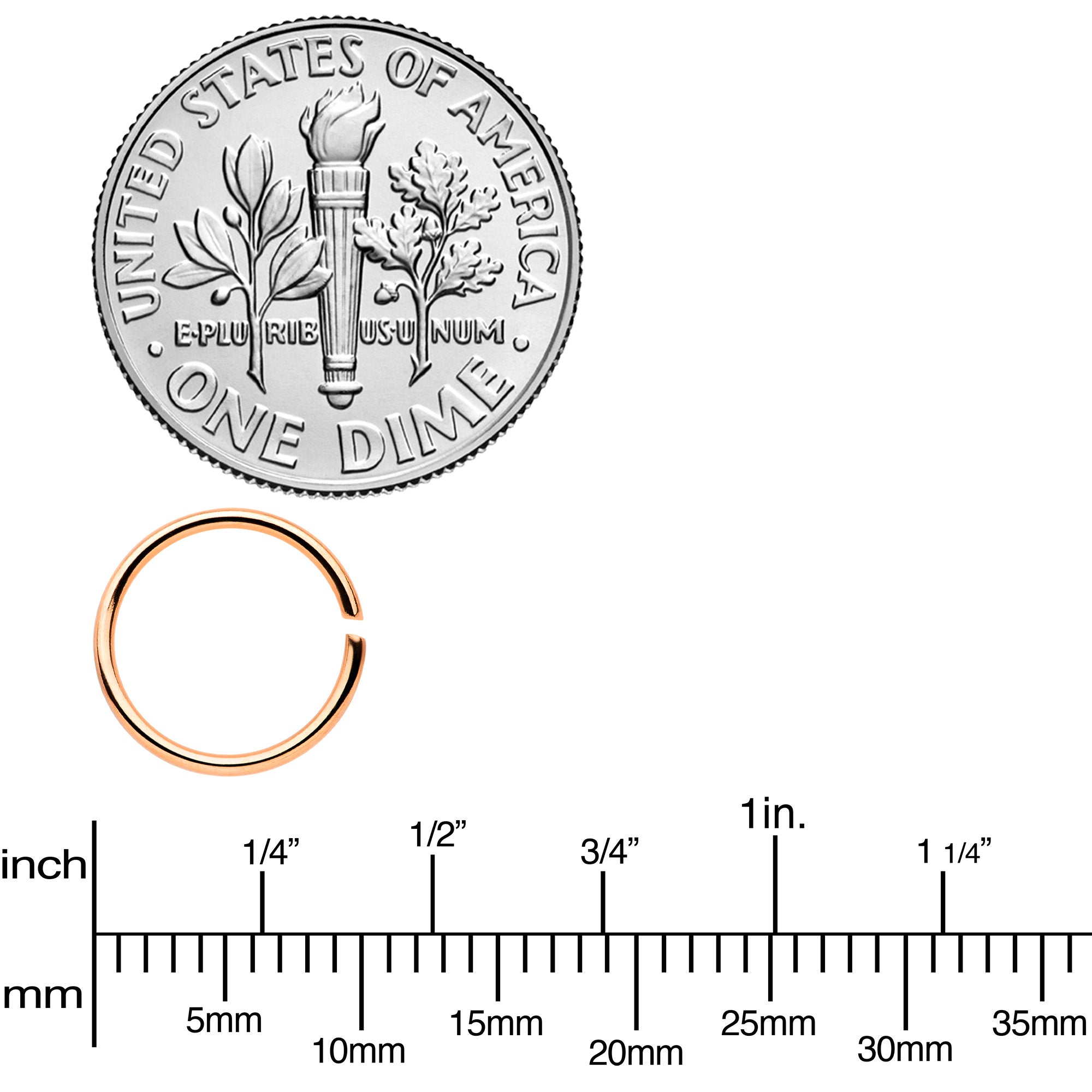 20G 5/16 Steel Rose Gold Tone Anodized Seamless Circular Ring Set of 12