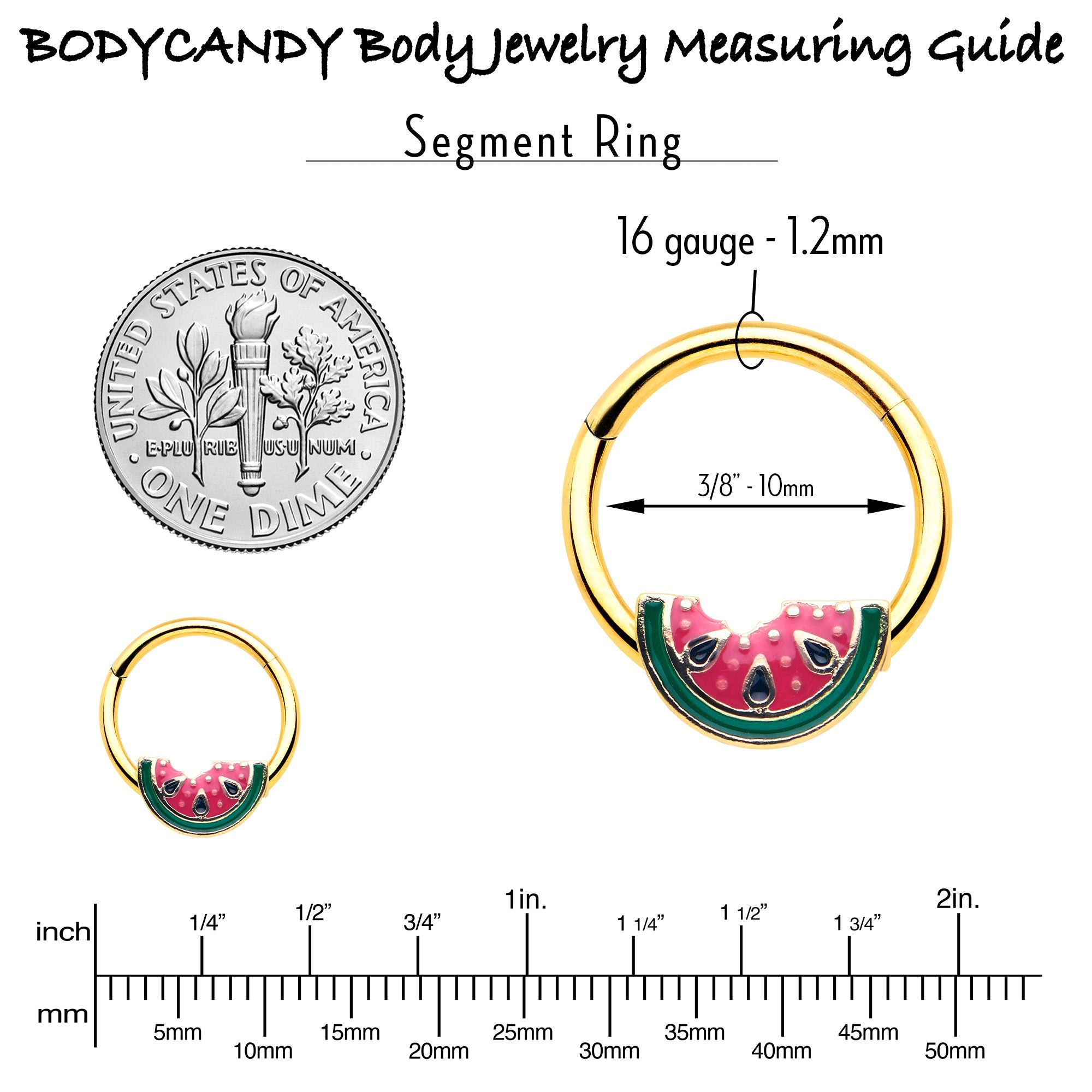 16G 3/8 Gold Tone Watermelon Bite Hinged Segment Ring