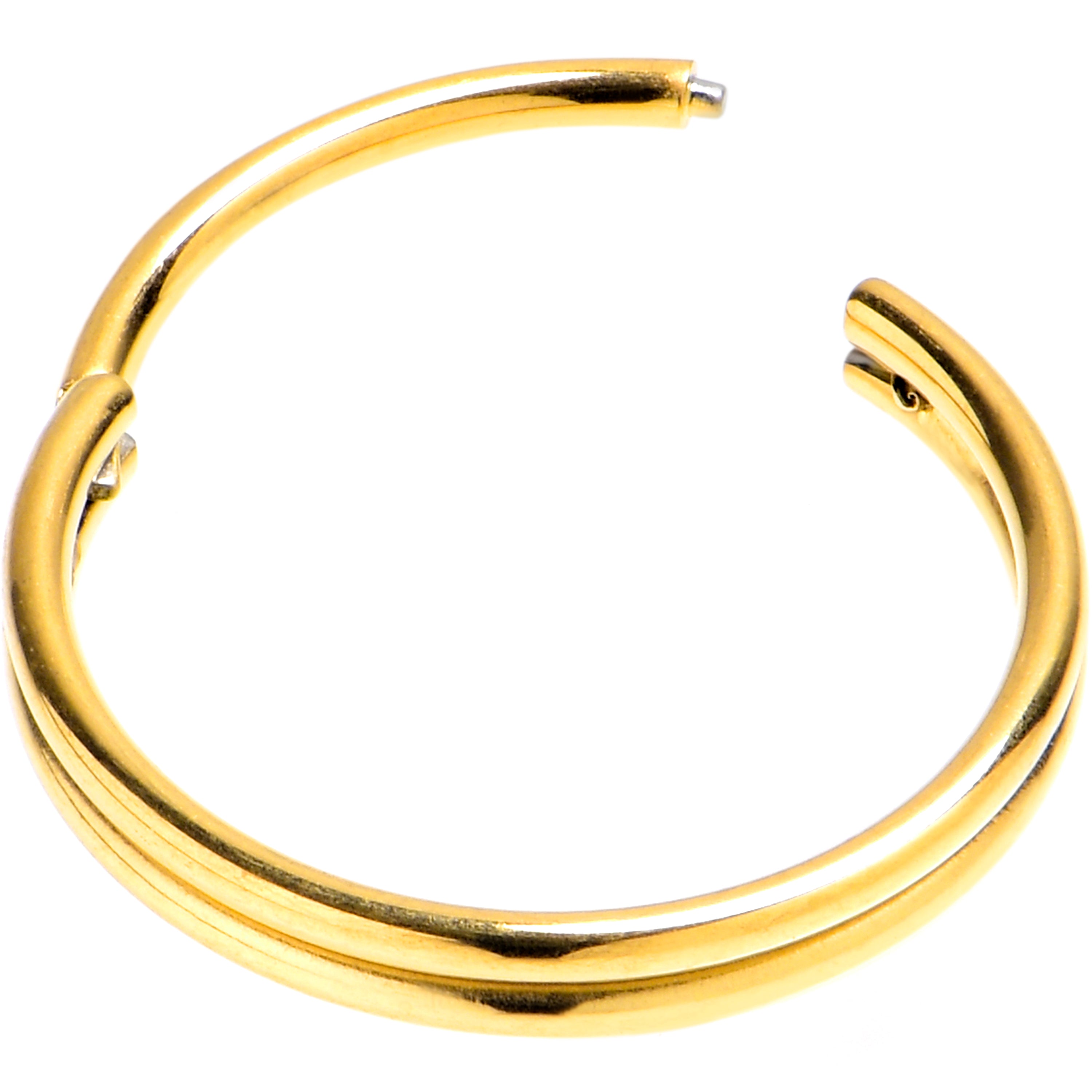 20G 3/8 Gold PVD 316L Surgical Steel Double Precision Hinged Segment Ring